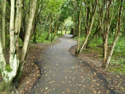Image on trail